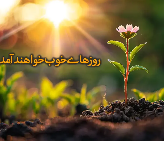 امید زنده است