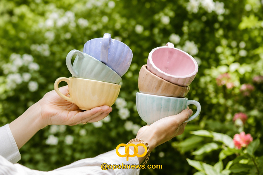چگونه بهترین انتخاب را برای خرید ظروف سرامیکی داشته باشیم؟ 1